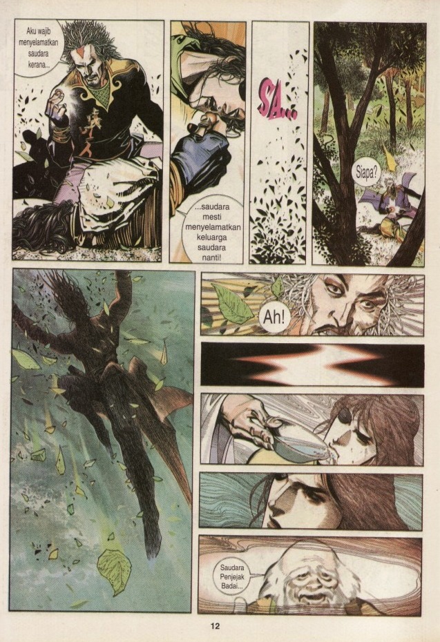 Pedang Setiawan: Chapter 215 - Page 12