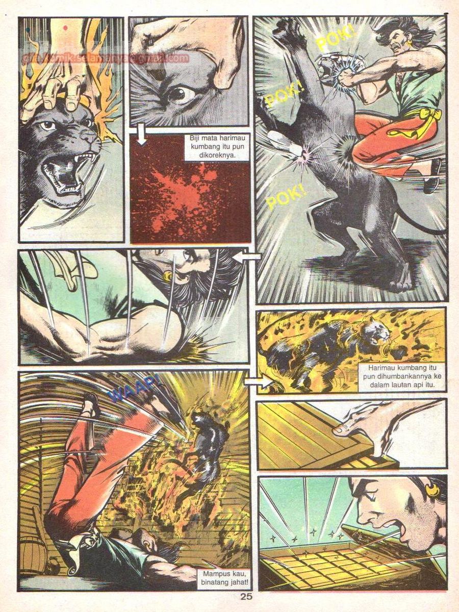 Wira Sakti: Chapter 009 - Page 24