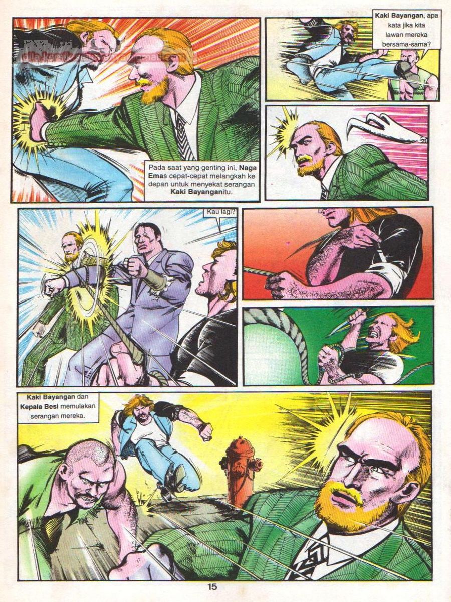 Wira Sakti: Chapter 016 - Page 14