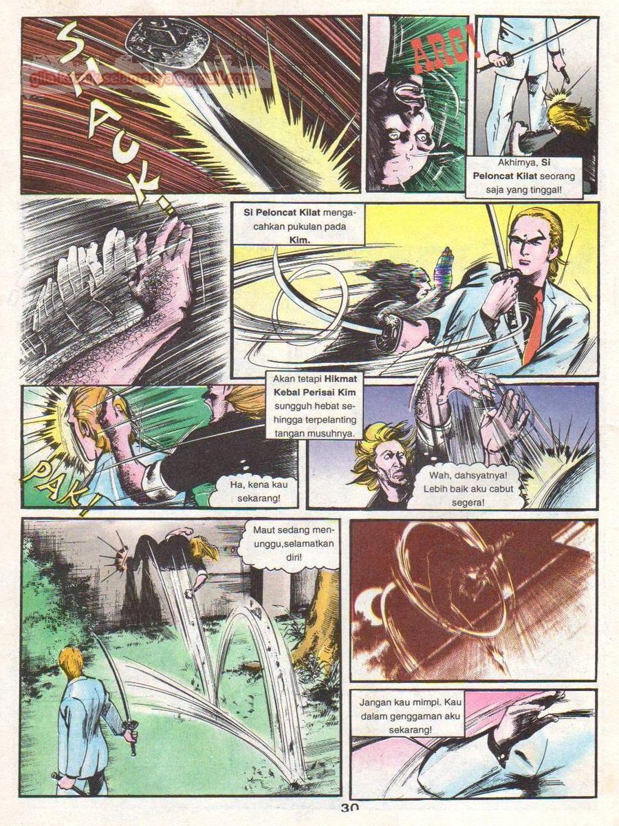 Wira Sakti: Chapter 017 - Page 29