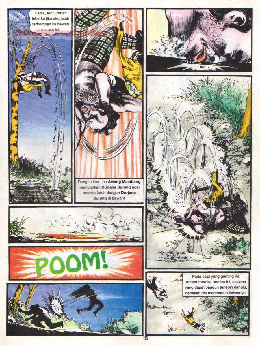 Wira Sakti: Chapter 019 - Page 14