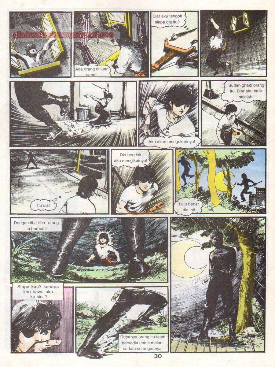 Wira Sakti: Chapter 020 - Page 29