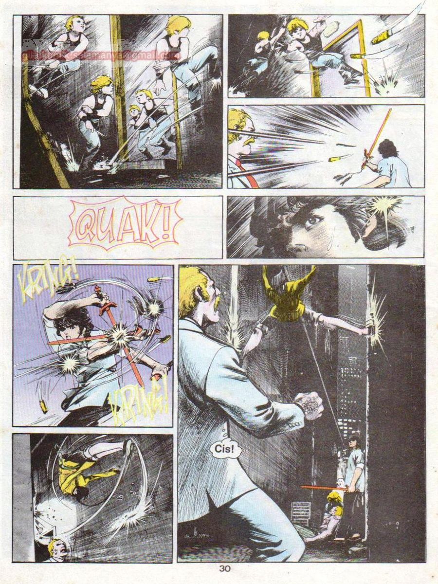 Wira Sakti: Chapter 024 - Page 29