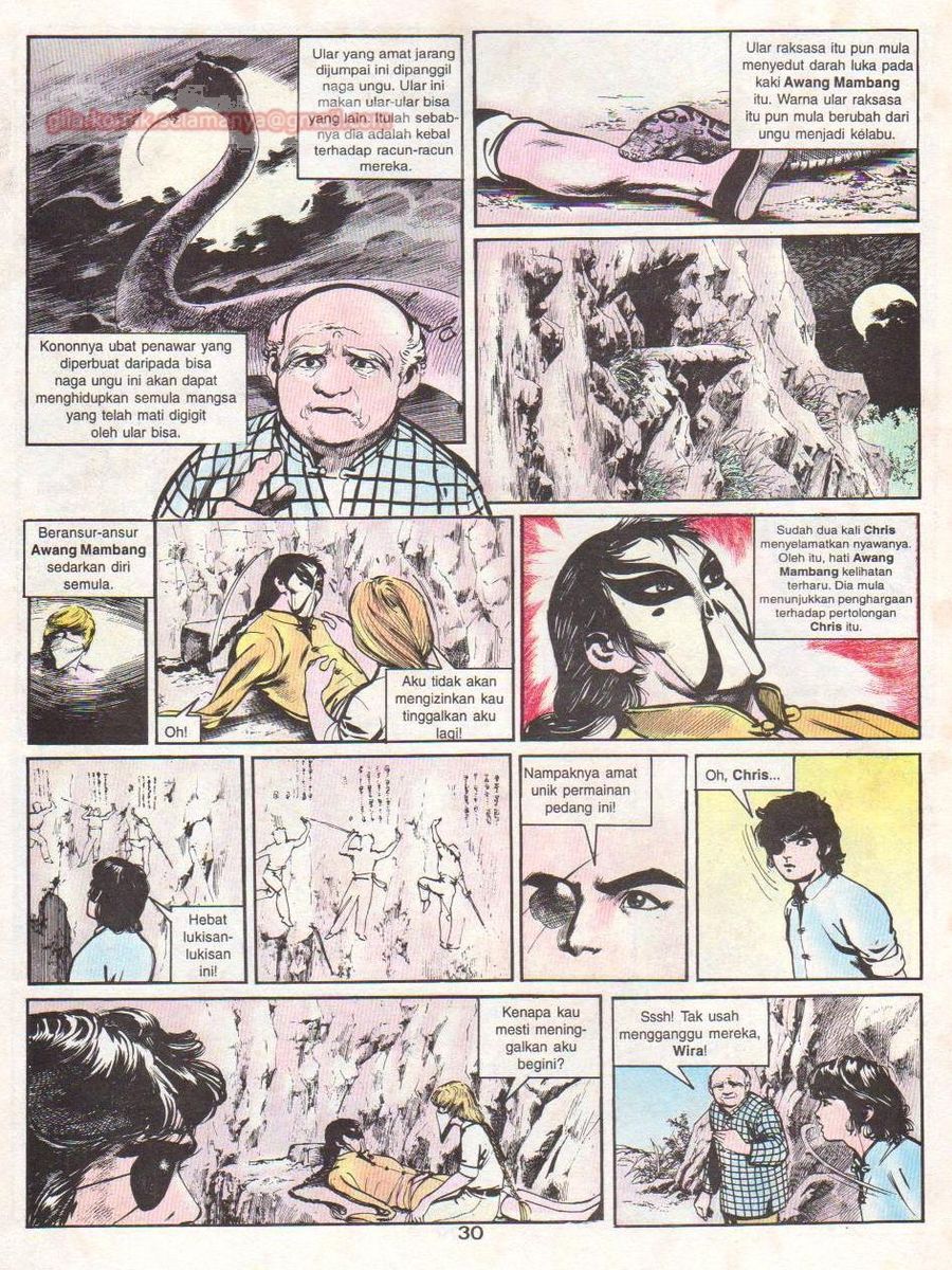 Wira Sakti: Chapter 031 - Page 29