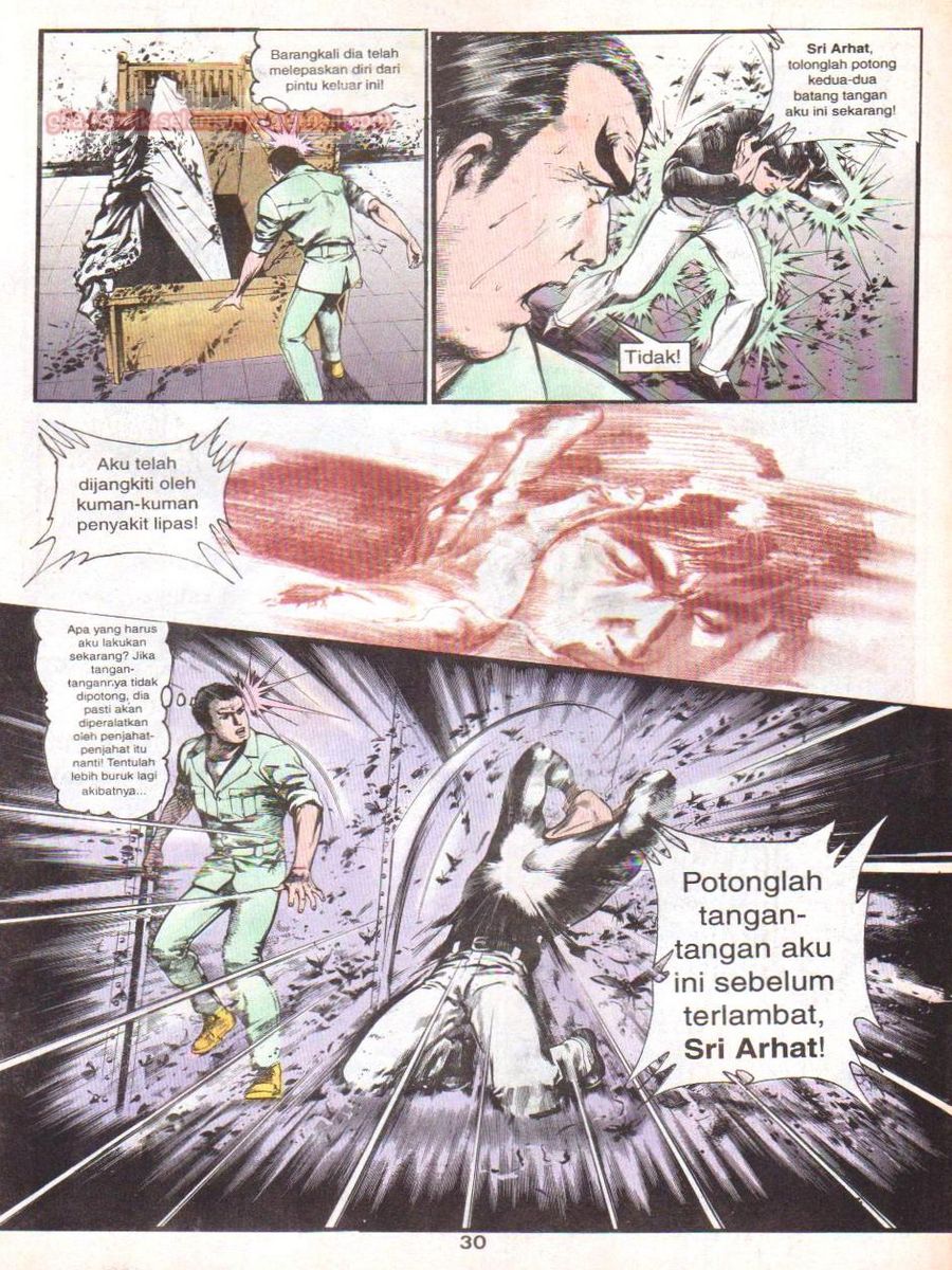 Wira Sakti: Chapter 065 - Page 29