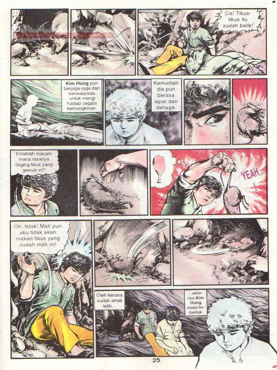 Wira Sakti: Chapter 070 - Page 24