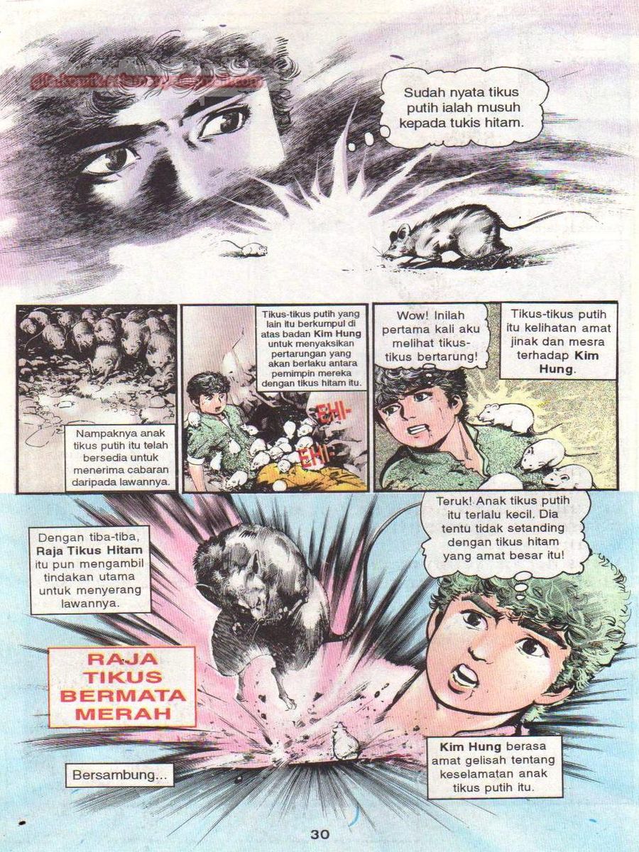 Wira Sakti: Chapter 070 - Page 29