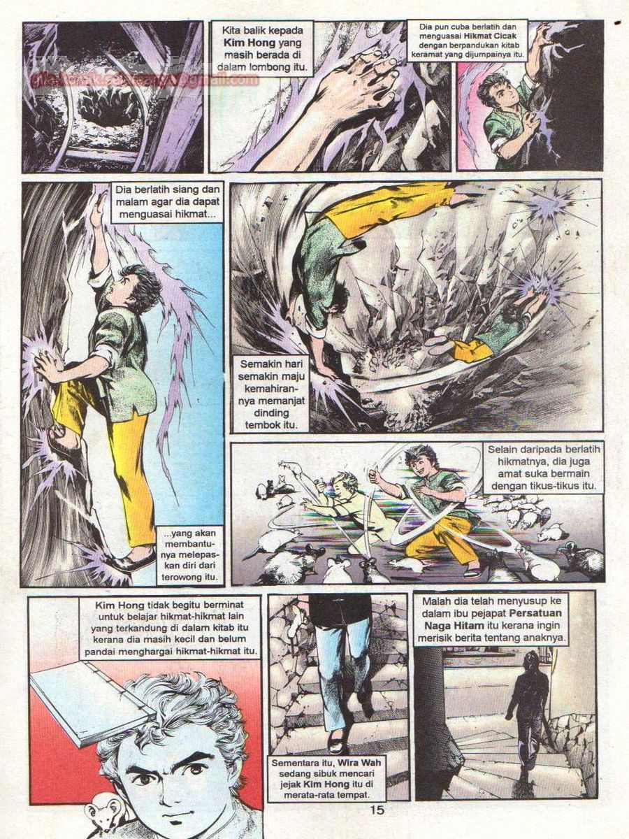 Wira Sakti: Chapter 075 - Page 14