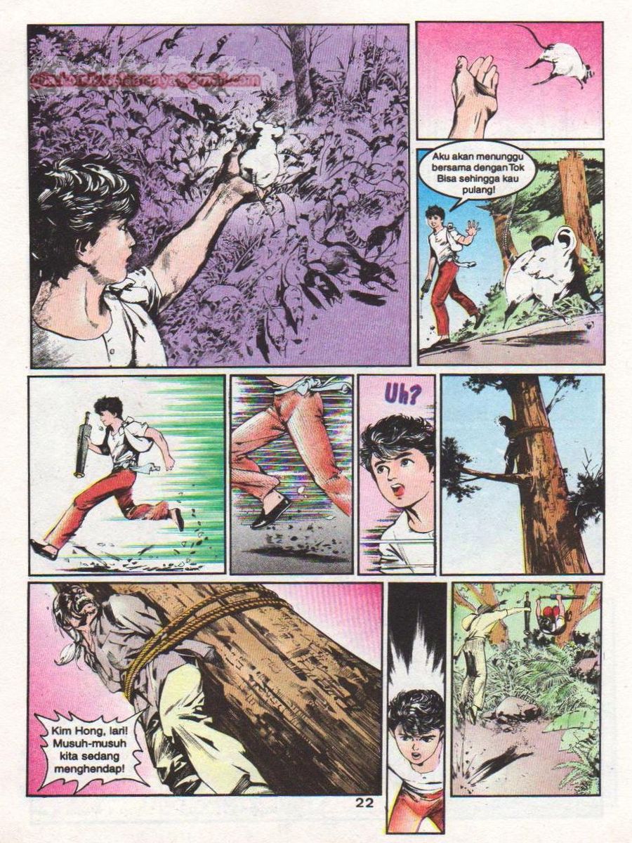 Wira Sakti: Chapter 094 - Page 22