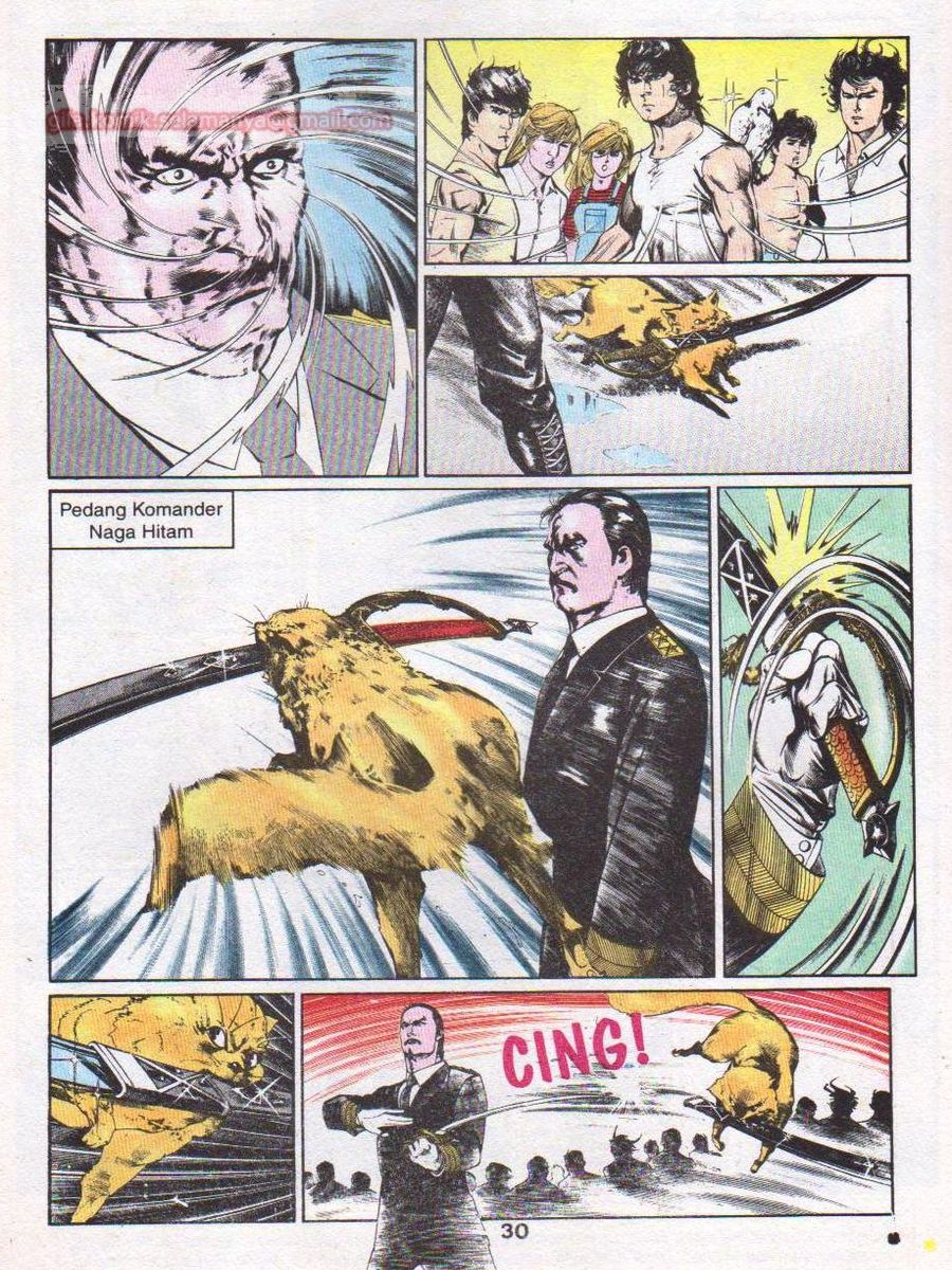 Wira Sakti: Chapter 097 - Page 29