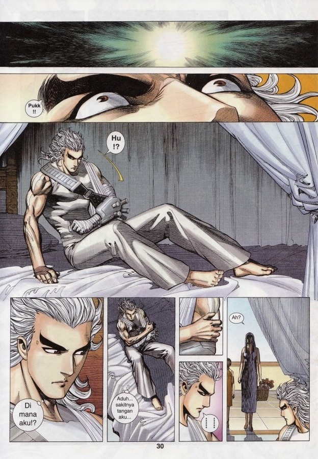 Wira Tunggal Phoenix: Chapter 313 - Page 29