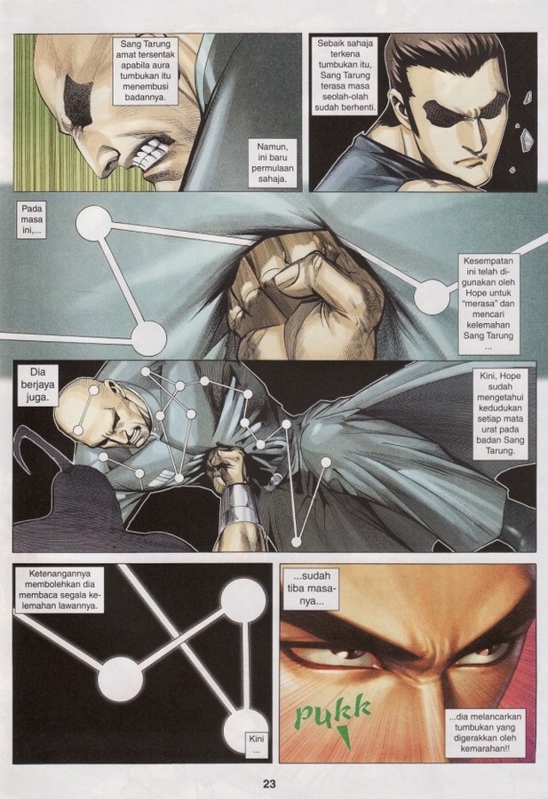 Wira Tunggal Phoenix: Chapter 330 - Page 22